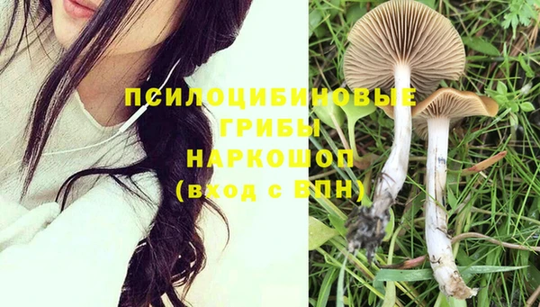 гашиш Арсеньев