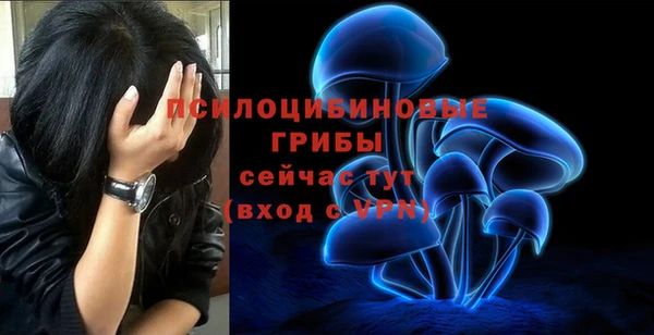 ECSTASY Инсар