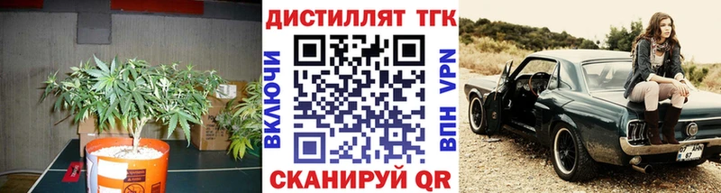 купить   Сухой Лог  ТГК THC oil 