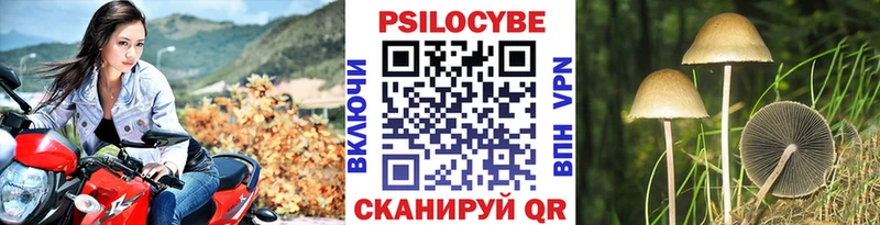 mega ONION  Сухой Лог  Галлюциногенные грибы Psilocybe  купить наркотик 